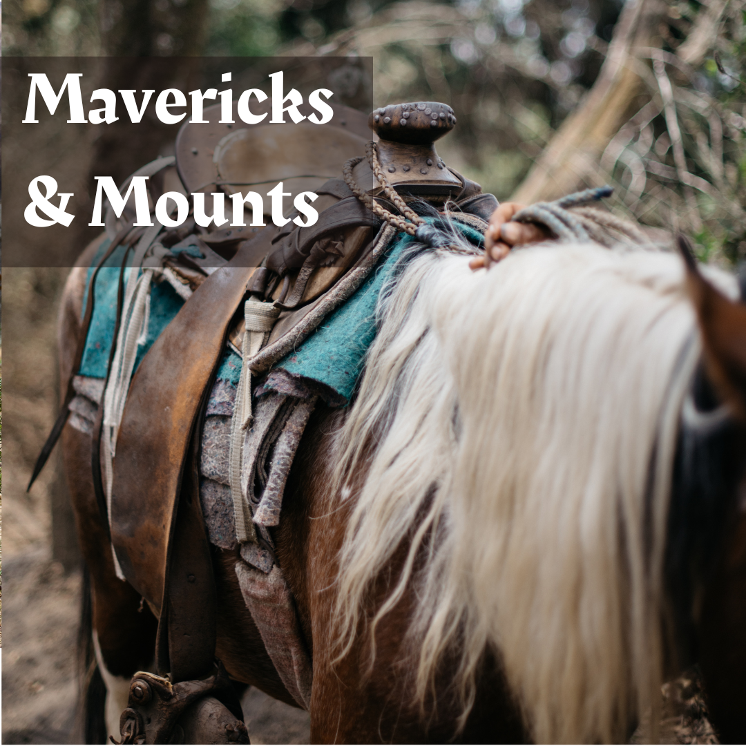 Mavericks & Mounts: Class Guide & Module for DnD5e (PDF)